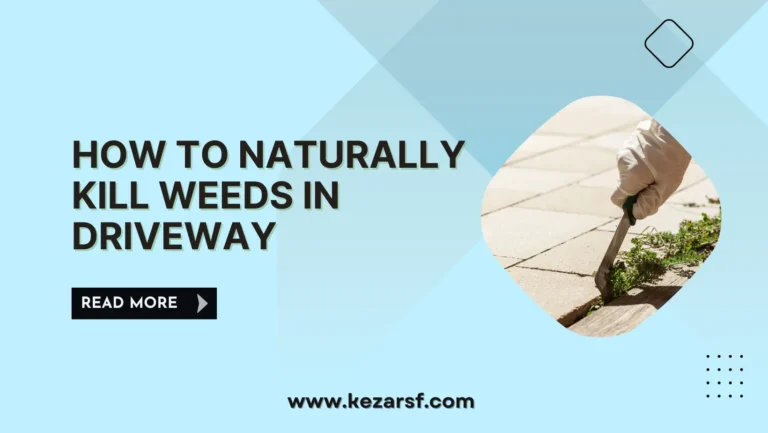 How to Naturally Kill Weeds in Driveway